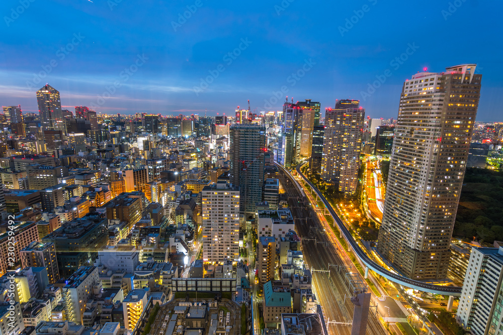 amazing view of tokyo skyline at sundown