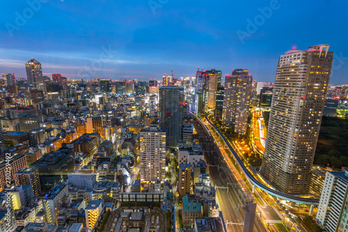 amazing view of tokyo skyline at sundown © jon_chica