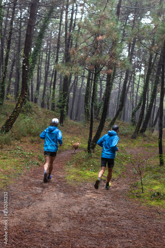 corriendo por el bosque  © marcantabrico