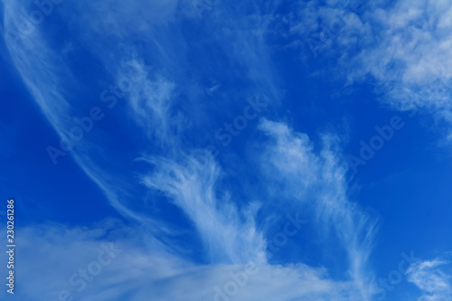 celestial background - blue day sky with white cirro-cumulus clouds