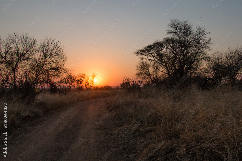 African sunset taken over a gravel road, trees and bushes African sunset taken over a gravel road, trees and bushes