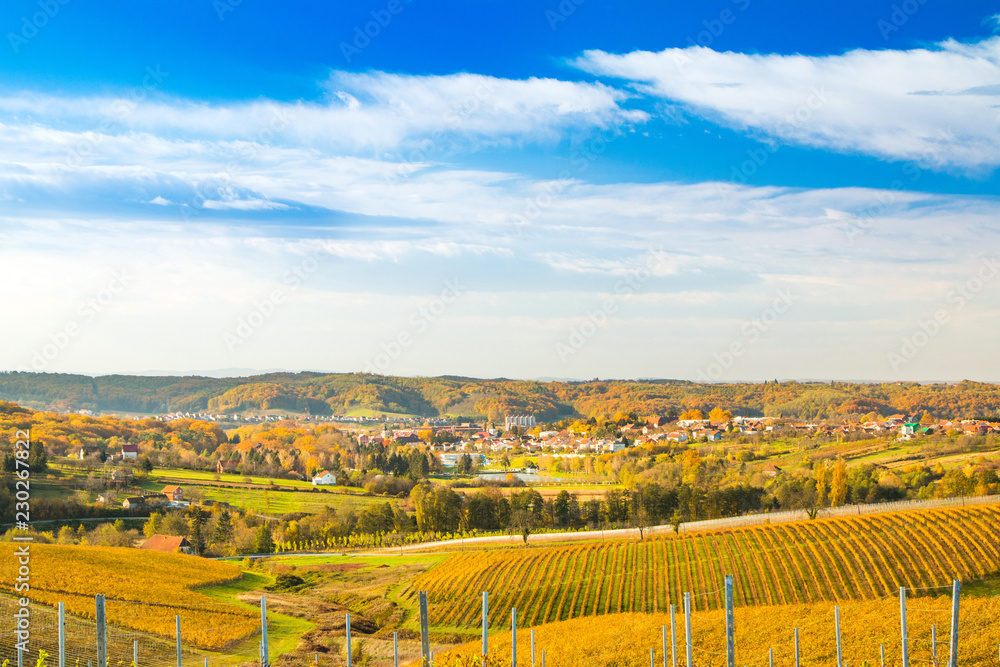 Croatia, Daruvar, colorful countryside autumn landscape and beautiful vineyards