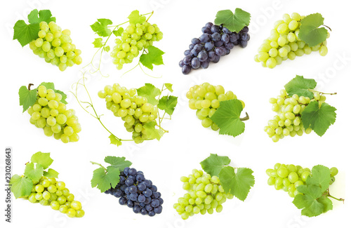 tasty grapes branch