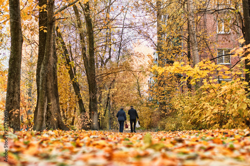 pair of elderly people are walking along the autumn road in the park