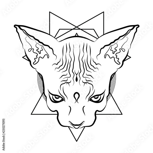 Vector illustration. Egyptian cat head with geometric symbols. Mystic Totem.