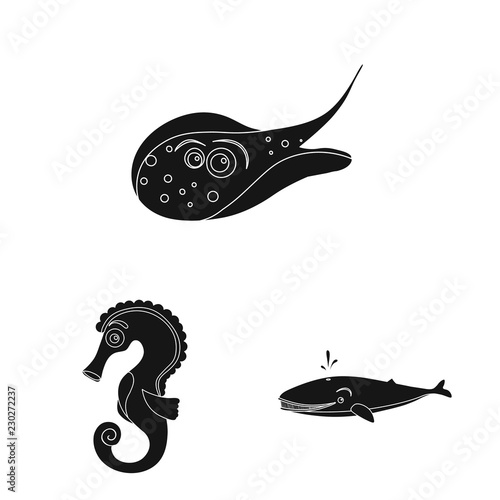 Vector illustration of sea and animal icon. Collection of sea and marine stock symbol for web.
