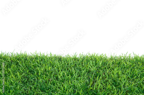 Grass isolated on white background. © krsprs