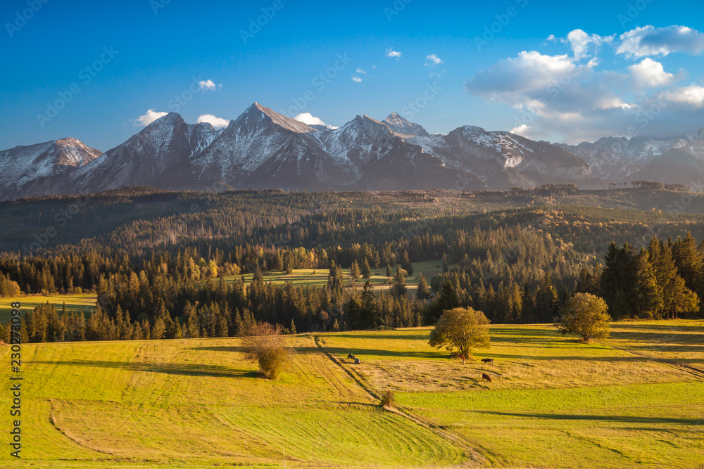 Rural Tatras mountains landscape