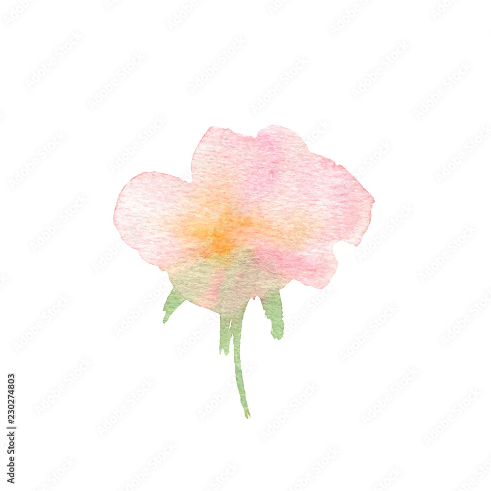 Watercolor flower.Pink beautiful hand drawn rose. Design for inv