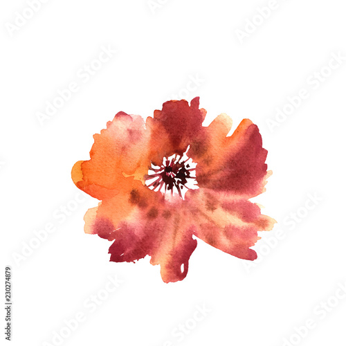 Watercolor flower.  Colorful orange beautiful hand drawn rose. D
