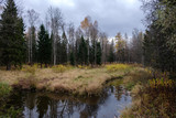 Autumn forest with small river. Landscape with cloudy weather, forest and water
