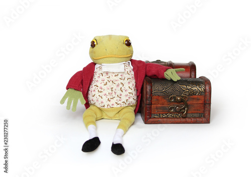 frog toy with treasure box