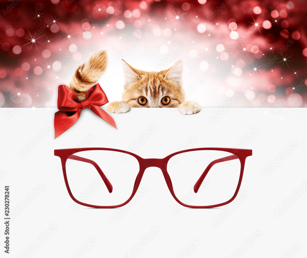 christmas eyeglasses gift card, ginger cat with red spectacles and red ribbon bow, copy space template on blurred xmas lights