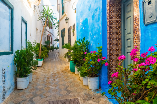 Romantic street, pots of plants and flowers in white medina of Asilah in Morocco photo