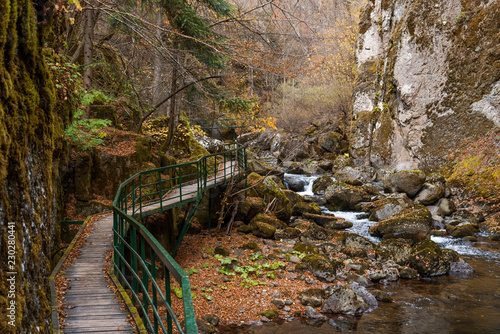 Bridge for hikers in the gorge of the Devinska River in Bulgaria.