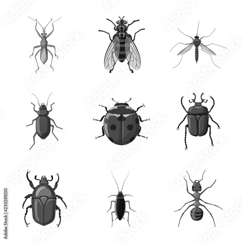 Vector illustration of insect and fly logo. Collection of insect and element vector icon for stock.