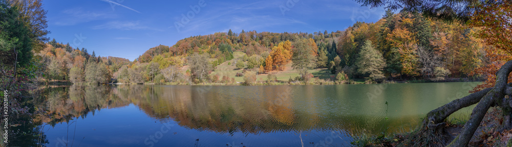 Autumn landscape at the arboretum of the Aubonne valley, Switzerland Autumn landscape at the arboretum of the Aubonne valley, Switzerland