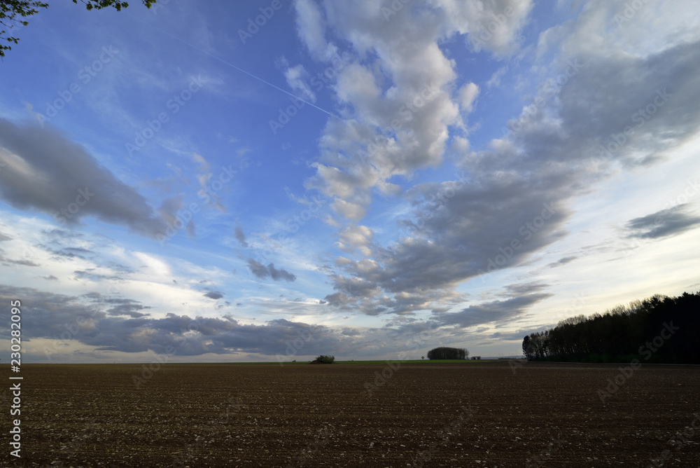 Gepfluegtes Feld mit Baeumen im Hintergrund, blauer Himmel mit Wolken, Plowed field with trees in the background, blue sky with clouds