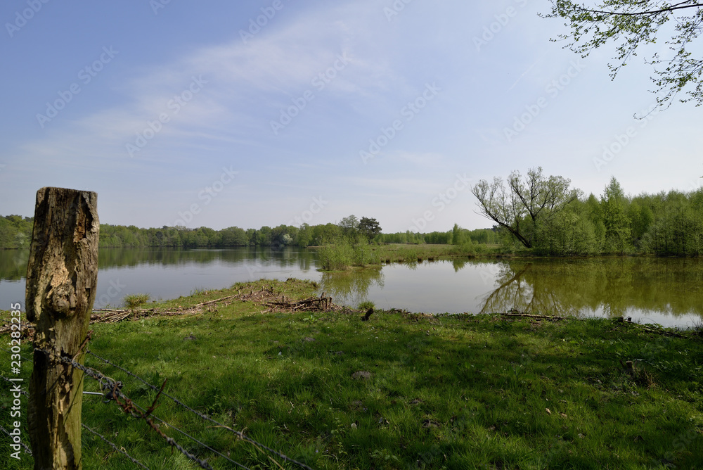 Seenlandschaft mit gruener Wiese und Baeumen, blauem Himmel Seenlandschaft mit gruener Wiese und Baeumen, blauem Himmel