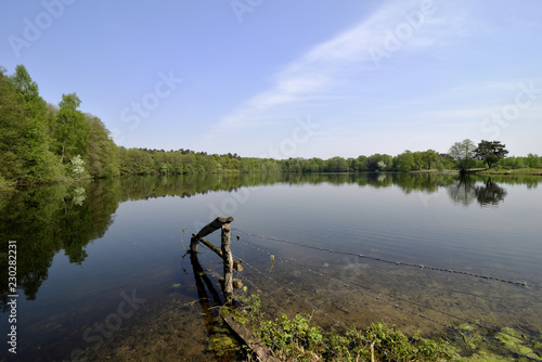 Seenlandschaft mit gruener Wiese und Baeumen, blauem Himmel photo
