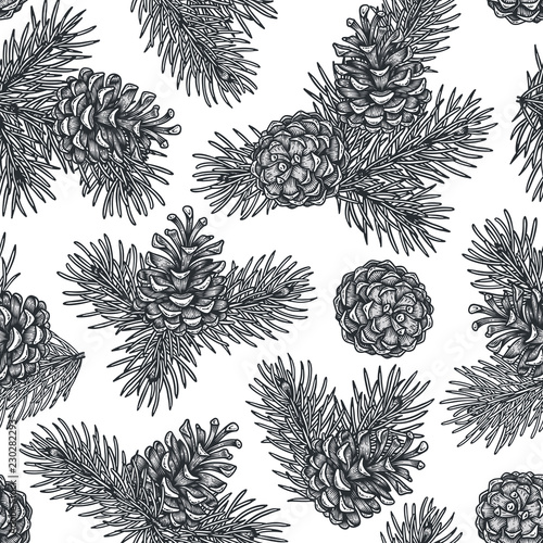 Hand draw engraving of a pine cone with cedar branches in a seamless pattern.