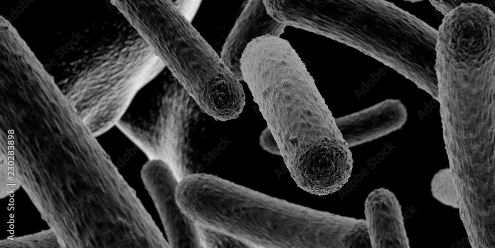 rytme indkomst apotek Bakterien unter einem Mikroskop Stock Photo | Adobe Stock