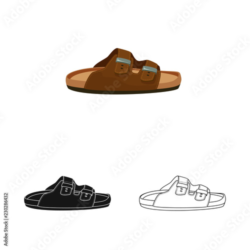 Isolated object of shoe and footwear symbol. Set of shoe and foot vector icon for stock.