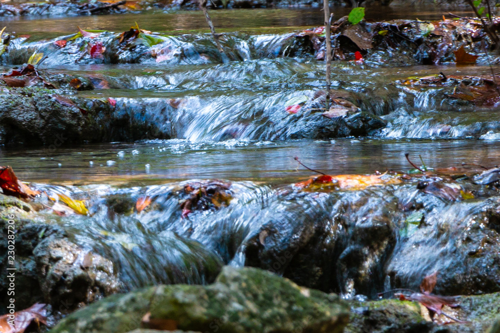 Fototapeta premium Stream with Fall Leaves Austin TX