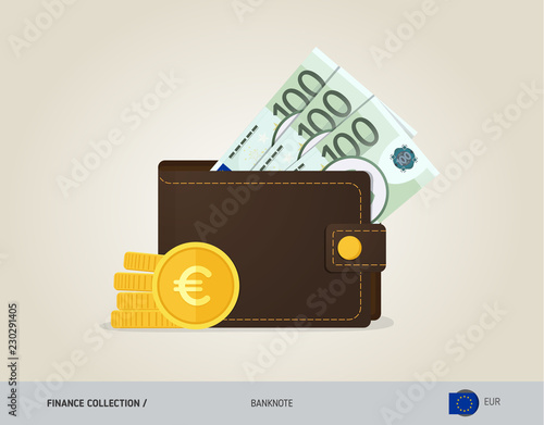 Brown leather wallet with 100 Euro Banknote and coins. Flat style vector illustration. Business concept.
