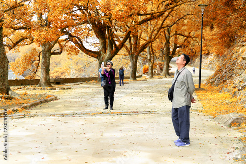 Elderly couple walk in park during fall season