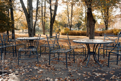 Outdoor cafe terrace. Table with golden autumn leaves in autumn photo