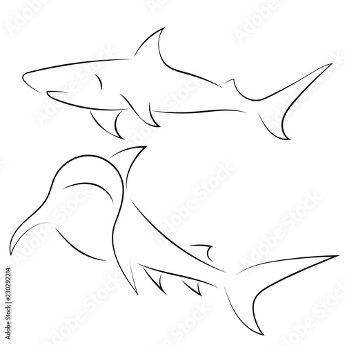 Black line sharks on white background. Hand drawn linear sketch. Vector graphic fishes. Animal illustration.