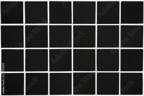 black ceramic tile with 24 squares in rectangular form with white filling