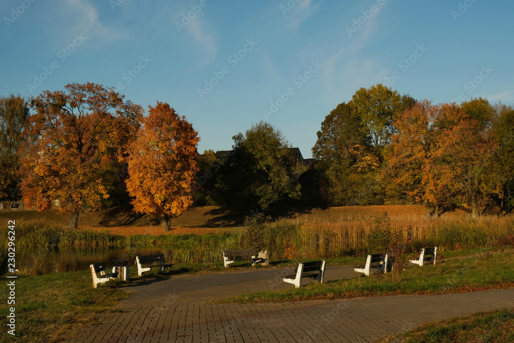 Polska, Gdańsk - jesienny park z ławkami oświetlony wieczornym słońcem (Olszynka) - obrazy, fototapety, plakaty 