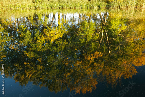 Odbicia jesiennych drzew w wodzie w zachodzącym słońću