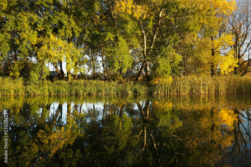 Symetryczne odbicia jesiennych drzew w wodzie w zachodzącym słońcu