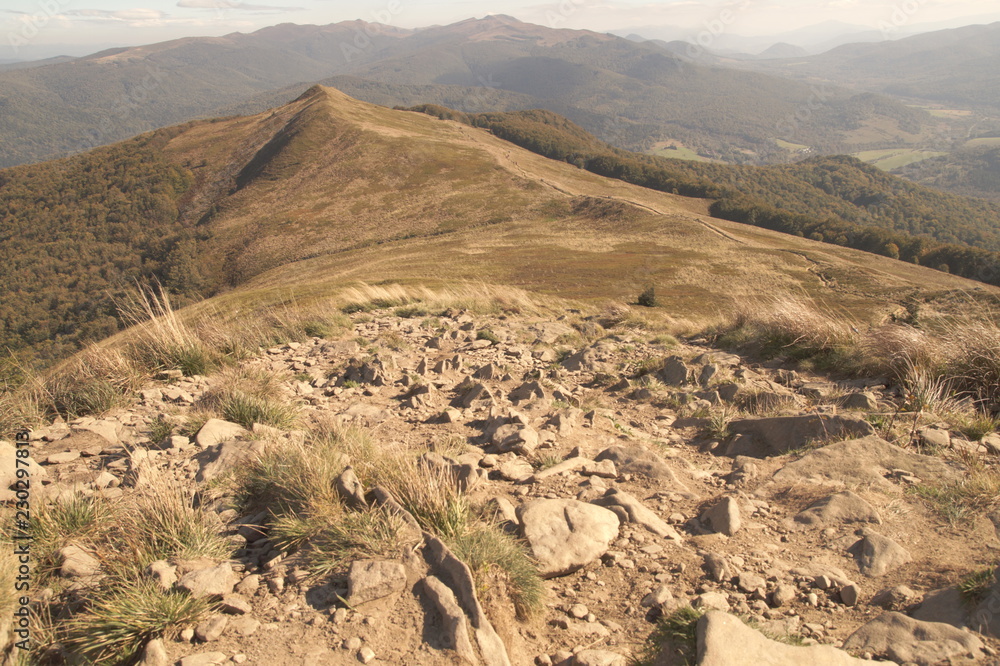 Fototapeta premium Połonina Caryńska