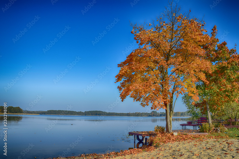 Autumn landscape lake poland