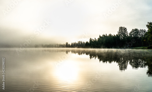 Fototapeta Naklejka Na Ścianę i Meble -  Foggy sunset with forest at long coast line, golden calm lake, Swedish countryside