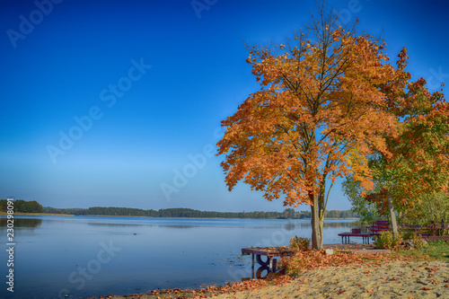 Autumn landscape lake poland