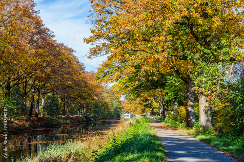 Fototapeta Naklejka Na Ścianę i Meble -  Autumn colors along the  Apeldoornse channel near Eerbeek in Gelderland, Netherlands