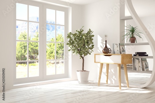 White empty room with summer landscape in window. Scandinavian interior design. 3D illustration © AntonSh