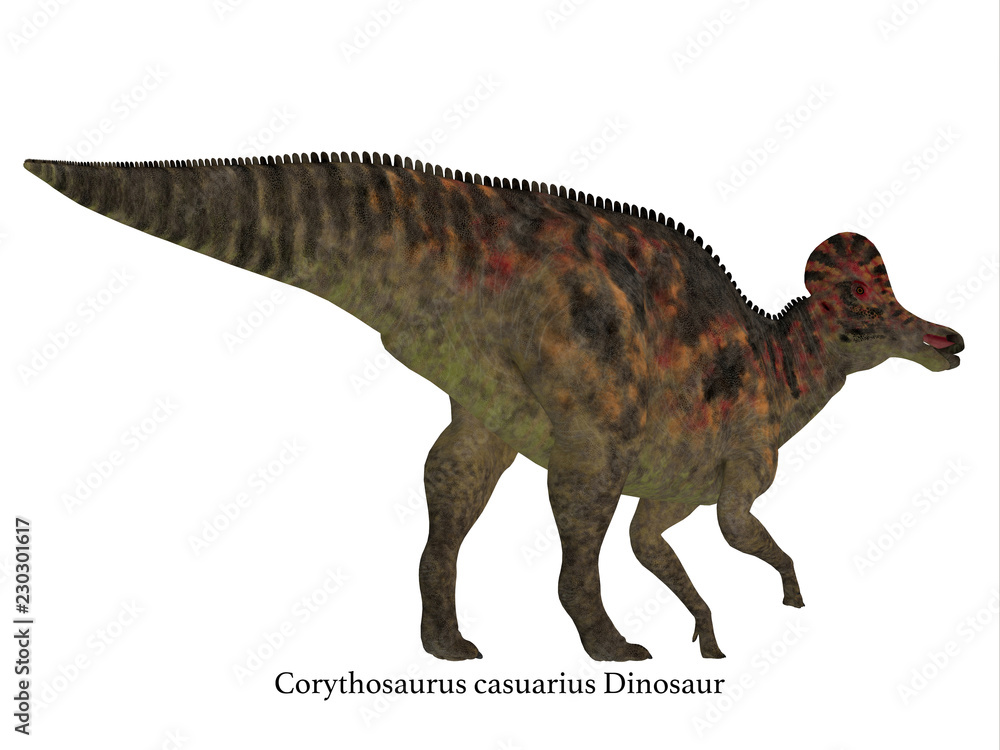Fototapeta premium Corythosaurus Dinosaur Tail with Font