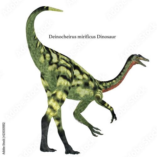 Deinocheirus Dinosaur Tail with Font © Catmando