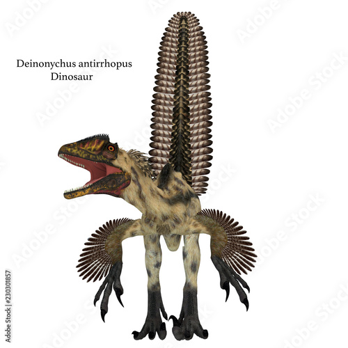 Deinonychus Dinosaur Front with Font