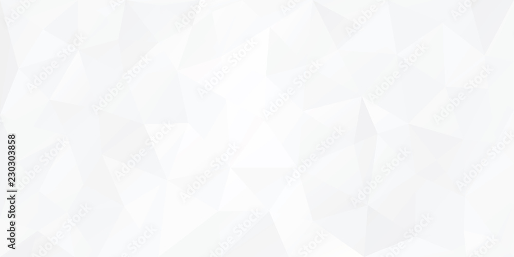 White Triangular Faset Abstract Low poly Geometric polygonal background  with copy space - obrazy, fototapety, plakaty 
