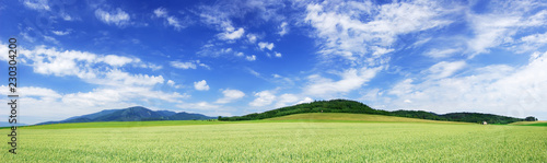 Panoramic landscape, view of green fields and blue sky