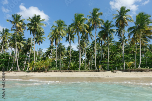 Beautiful natural beach, Samana, Dominican Republic © Fotocat4
