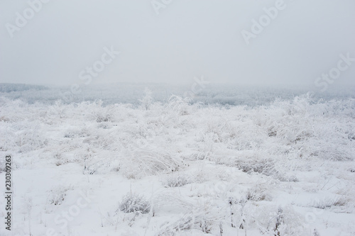 Winter landscape. Frozen meadow flower © SGr