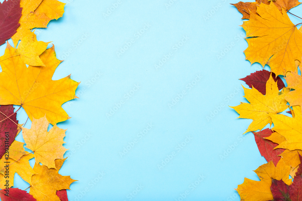 Autumn leaves scattered on the sides on a white isolated background. Flat lay, top view Autumn leaves scattered on the sides on a white isolated background. Flat lay, top view